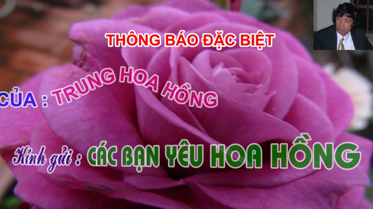 THÔNG BÁO ĐẶC BIỆT GỬI CÁC BẠN YÊU HOA HỒNG - TRUNH HOA HỒNG