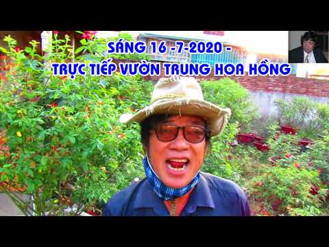 THỨ NĂM TRỰC TUYẾN HOA HÔNG HÀ TRUNG !