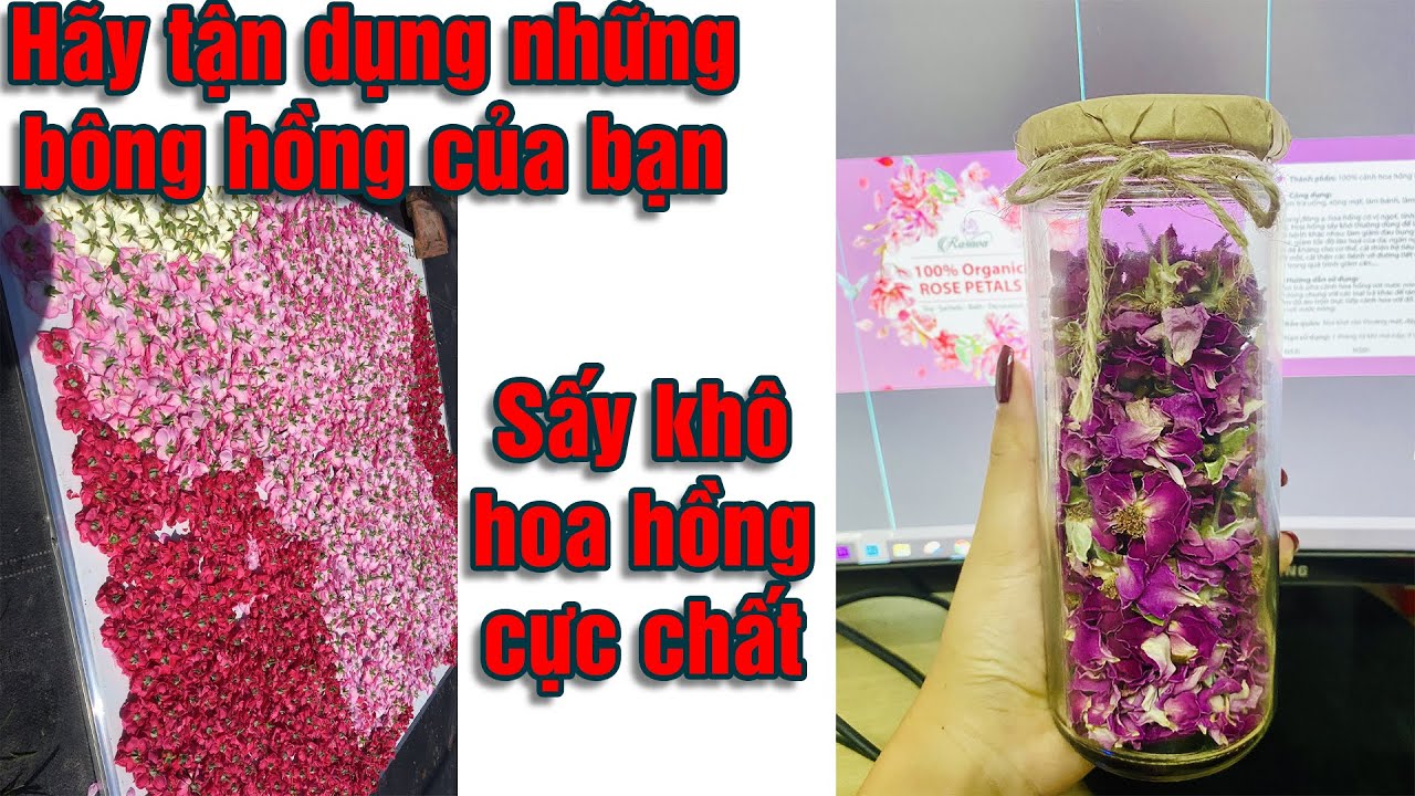 Tiết lộ các bước làm hoa hồng sấy cực kì an toàn và hiệu quả