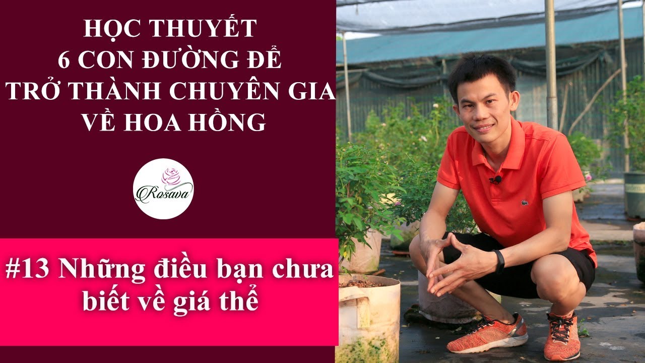 Tiết lộ những điều bạn chưa biết về giá thể trồng hoa hồng | Đất trồng cho hoa hồng