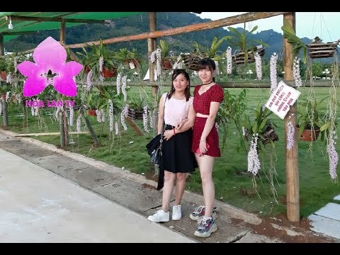 Tình Người Đoàn Kết - Hậu Trường Có 1-0-2 Hội Hoa Lan Mộc Châu 2019