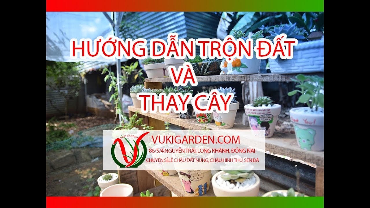 Vuki Garden| Hướng dẫn chăm sóc sen đá | Trộn đất và thay đất cho cây