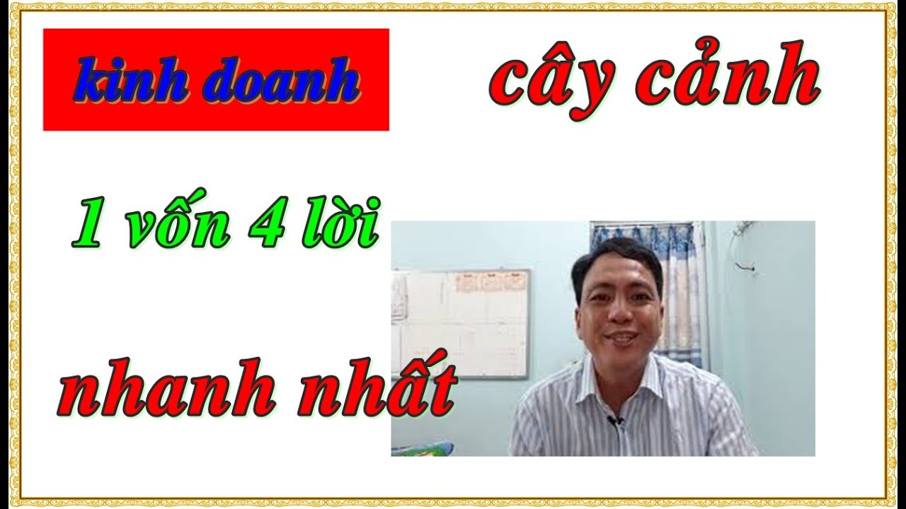 Ý Tưởng Kinh Doanh Hay :Kinh doanh cây cảnh – cách kiếm “một vốn bốn lời” nhanh nhất