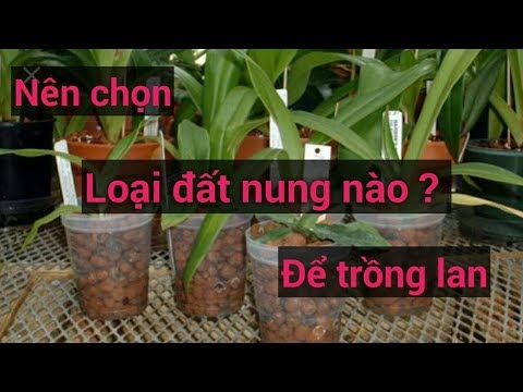 nên chon loại đất nung nào để trồng lan - Sổ tay hoa lan số 43