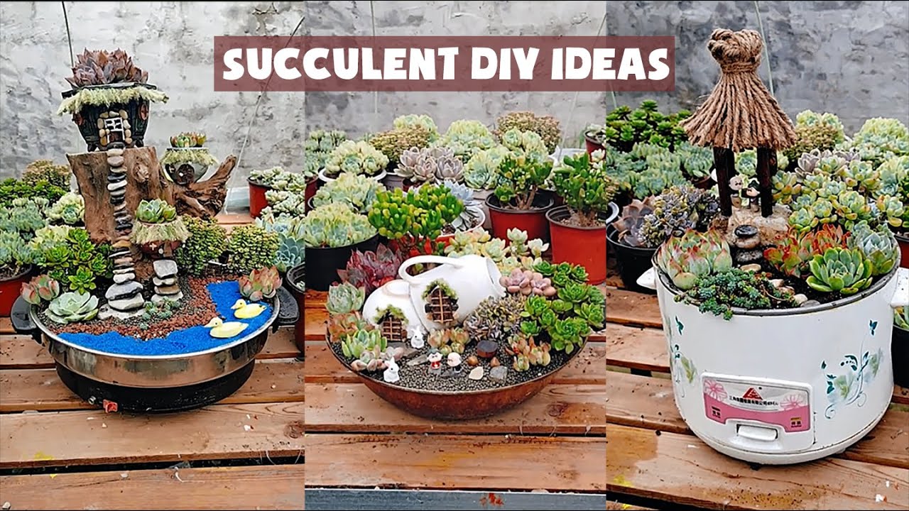 15 Succulent DIY Ideas| 15 ý tưởng trang trí sen đá| 多肉植物| 다육이들 | Suculentas