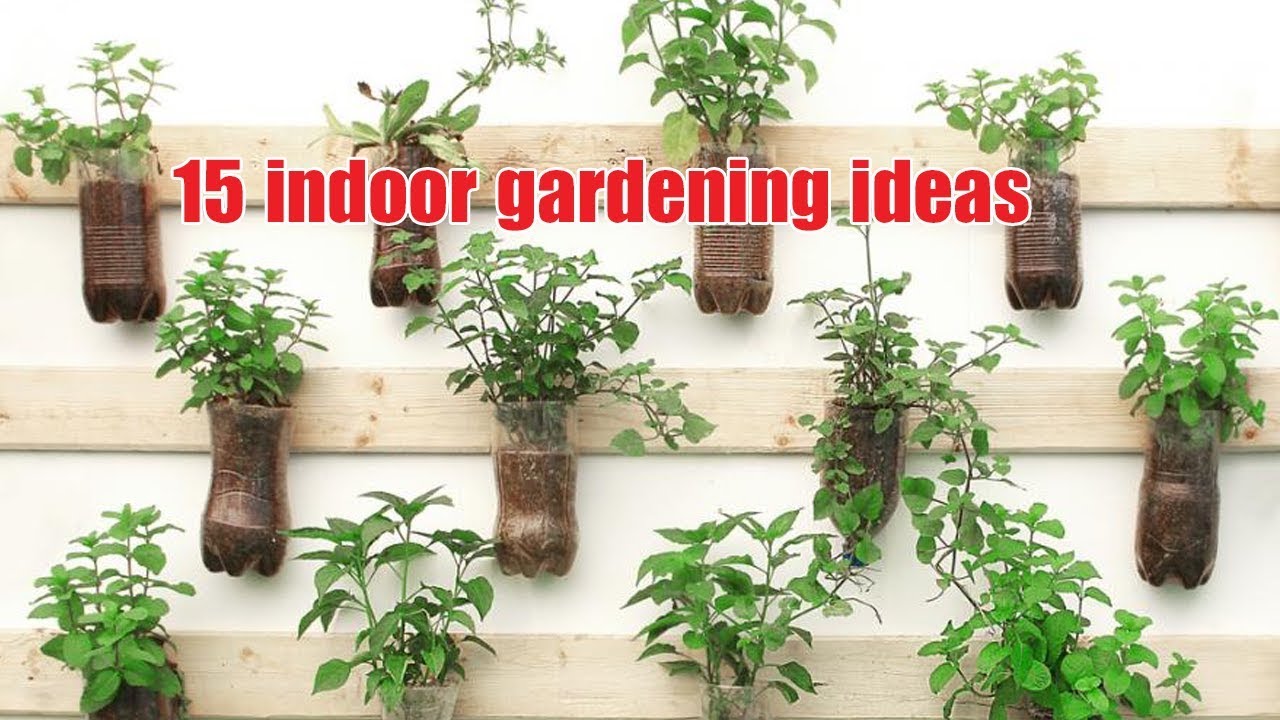 15 indoor gardening ideas for you | 15 ý tưởng làm vườn treo trong nhà | Lucas garden