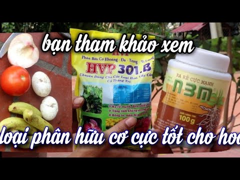 3 Loại Phân Hữu Cơ Vàng Cực Tốt Cho Hoa Hồng. Luôn Nở Hoa,Luôn Tươi Tốt