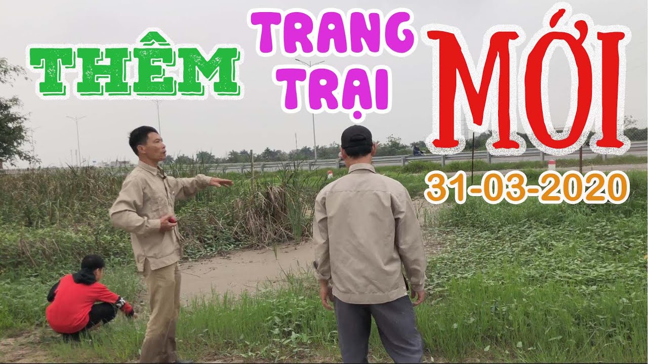 354. Ký Hợp Đồng Thuê Thêm Trang Trại Mới Từ 01-04-2020 | CÂY CẢNH CHỢ HÀNG Hải Phòng