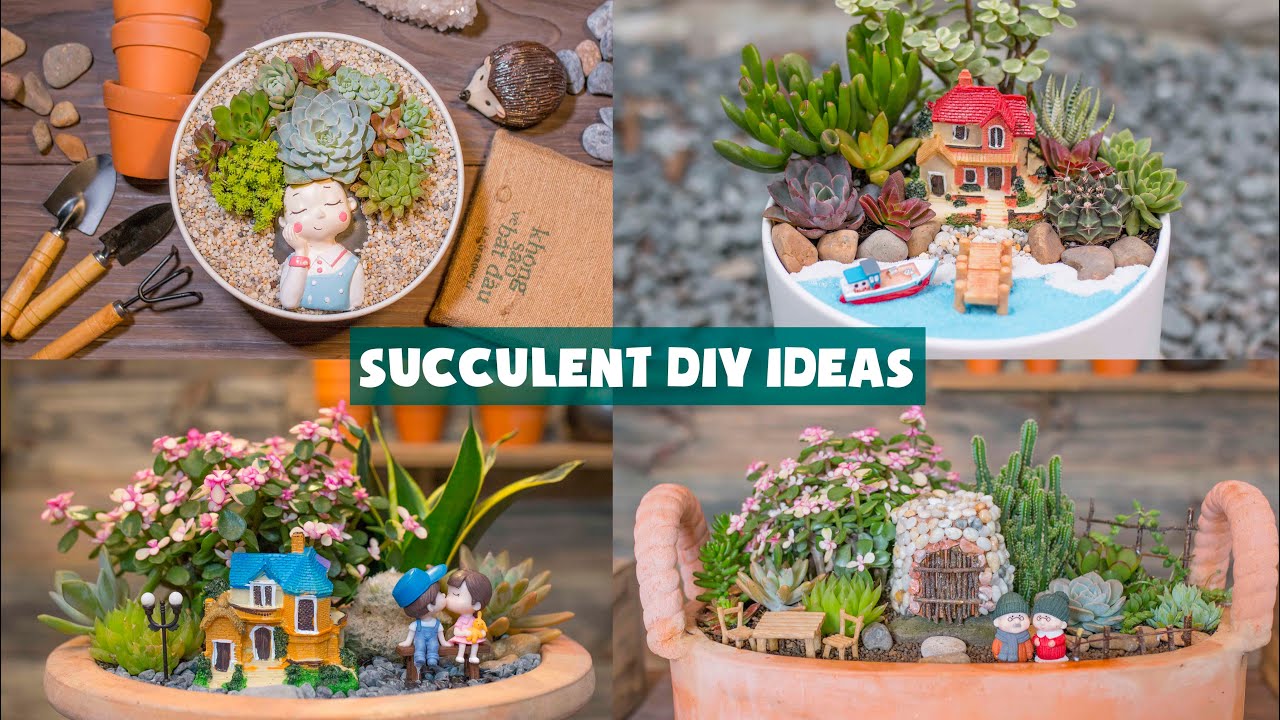 7 Succulent DIY Ideas| 7 Ý tưởng trang trí sen đá cực đẹp| 多肉植物| 다육이들 | Suculentas