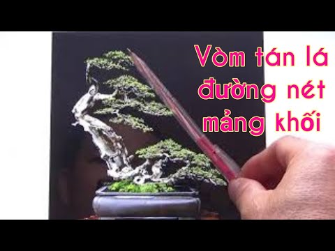 Bàn về vòm tán lá, đường nét và mảng khối