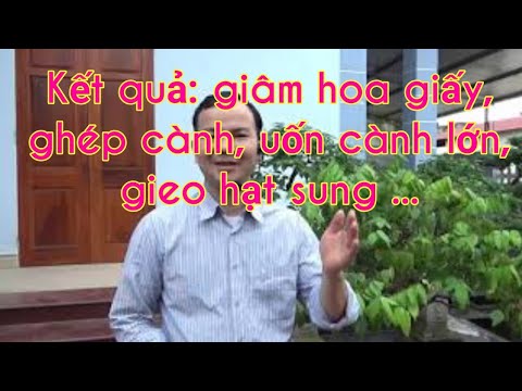 Báo cáo kết quả: giâm hoa giấy, ghép cành, uốn cành to, gieo hạt sung ...