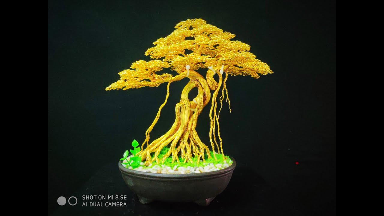 Bonsai handmade. Cây đa dáng làng .làm bonsai mini