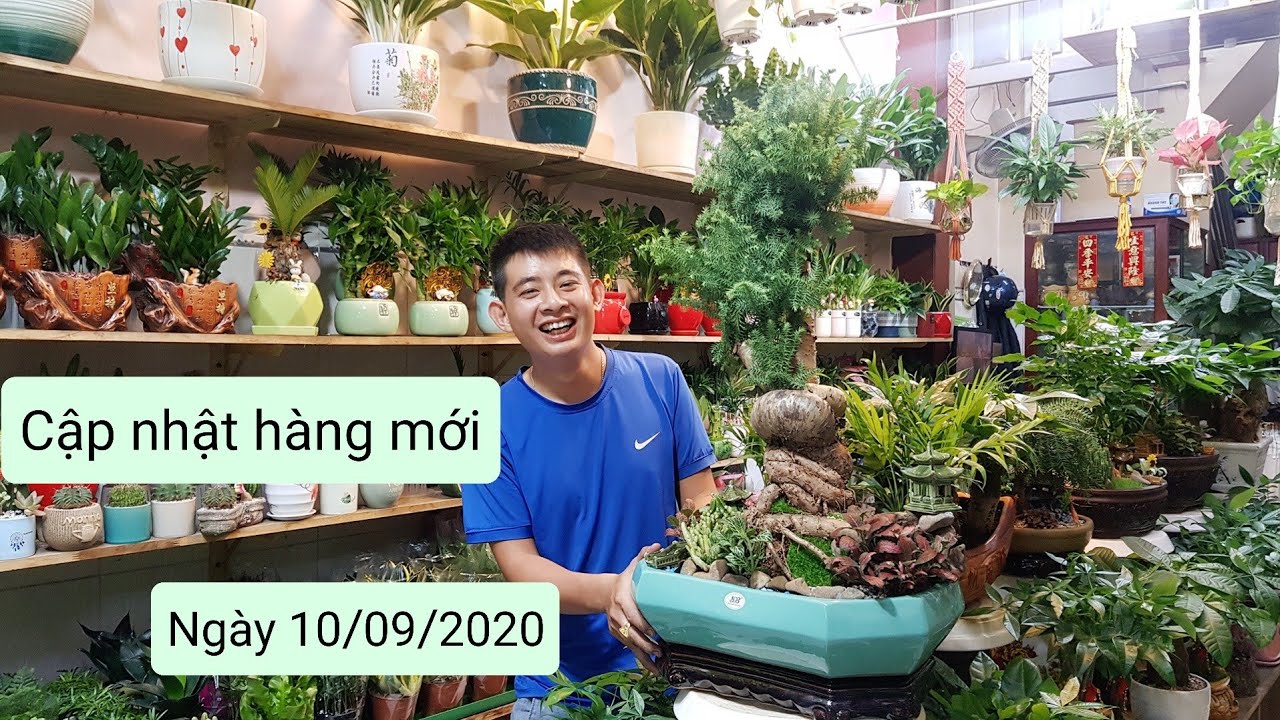 CẬP NHẬT HÀNG NGÀY 10/09/2020