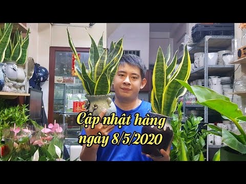 CẬP NHẬT LÔ HÀNG MỚI NHẤT (8/5/2020)