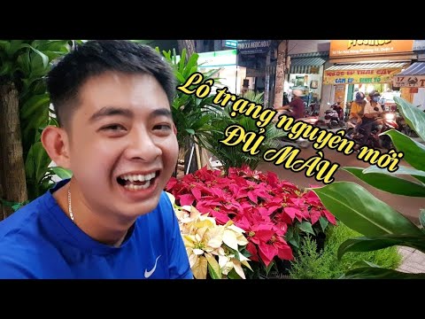 CLIP CỰC VUI NHỘN - GIỚI THIỆU LÔ TRẠNG NGUYÊN MỚI