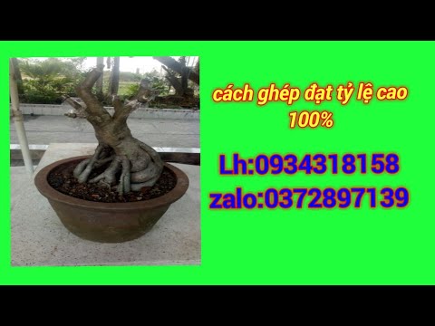 Chia sẽ cách ghép vật dụng PE đơn giản hiệu quả nhất.Lh:0934318158