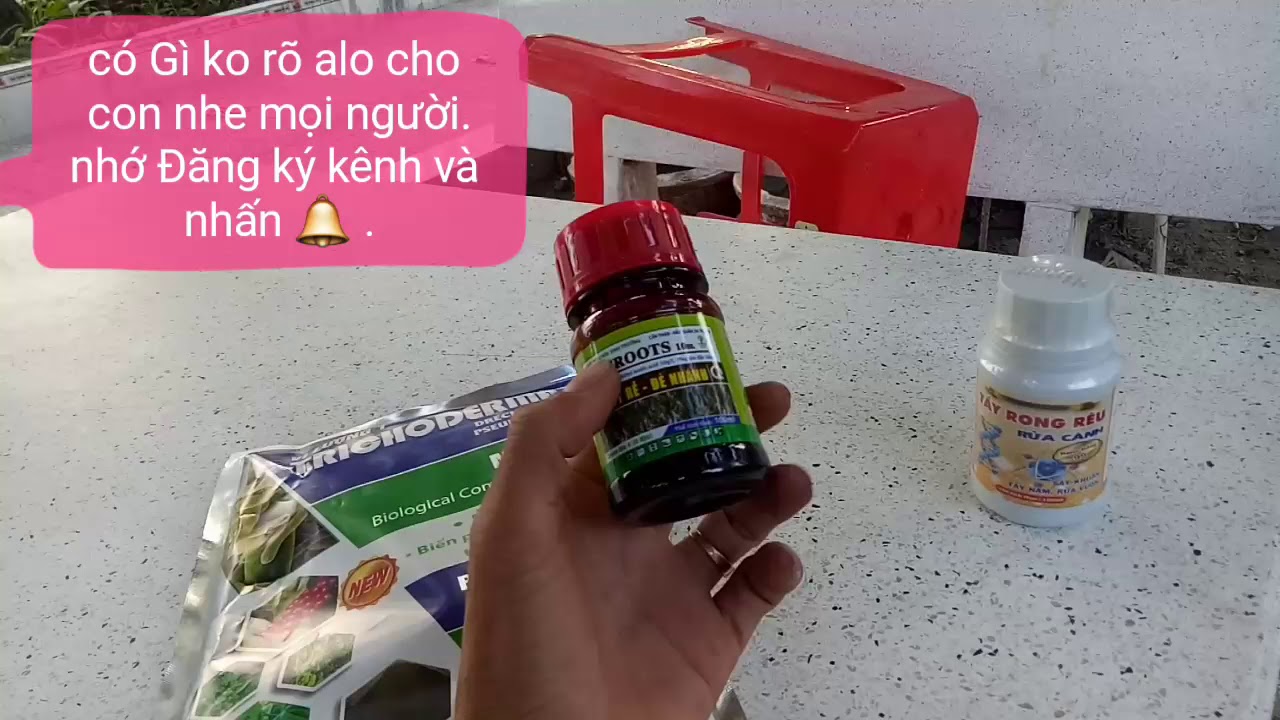 Chia sẽ phân men vi sinh ủ chất trồng an toàn cho cây sứ.Lh0934318158