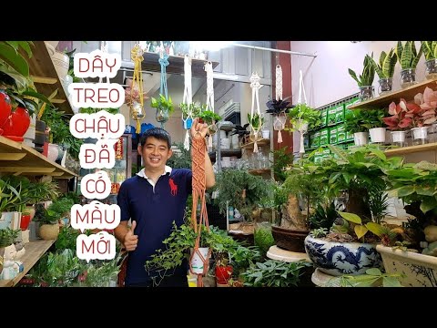 DÂY TREO CHẬU CẬP NHẬT MÀU MỚI ĐẸP MÊ LI