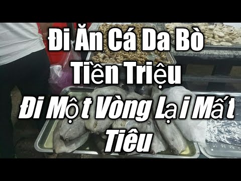 Đi ăn cá Da Bò tiền triệu mà không được ăn buồn vãi..hic!!!