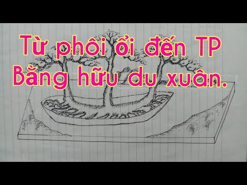 Định hướng phôi ổi thành tác phẩm Bằng hữu du xuân