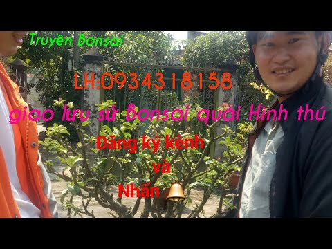 Giao lưu những cặp sứ bonsai quái thú. Lh:0934318158