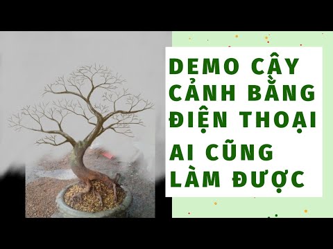 HƯỚNG DẪN DEMO CÂY CẢNH - MAI VÀNG ĐƠN GIẢN BẰNG PHẦN MỀM ĐIỆN THOẠI