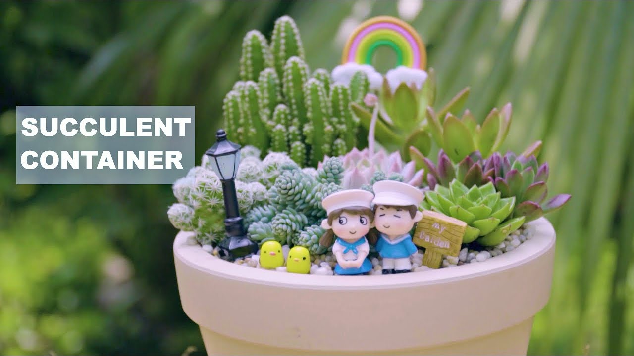 How to make a succulent container - Short film Ep.02| Làm một chậu tiểu cảnh sen đá | 多肉植物 | 다육이들