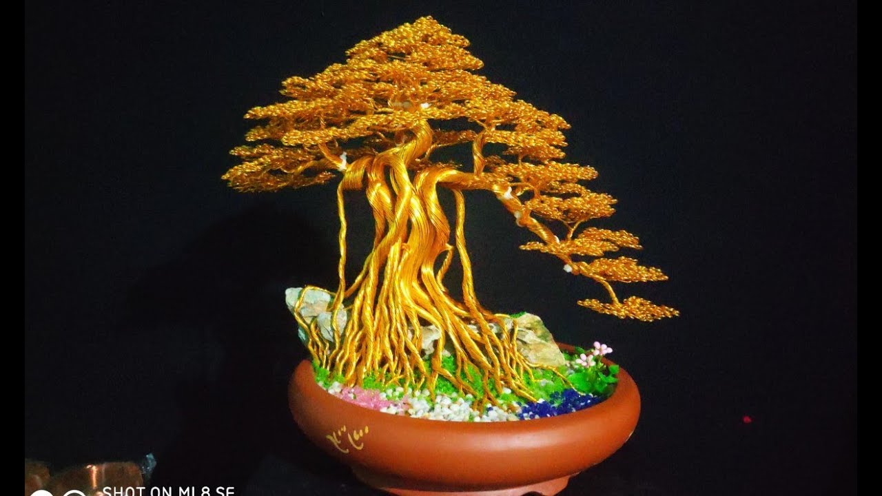 Hướng dẫn làm bonsai cây đa dáng cổ.làm bonsai dáng đa làng, làm bonsai dây đồng,bonsai dây kẽm.