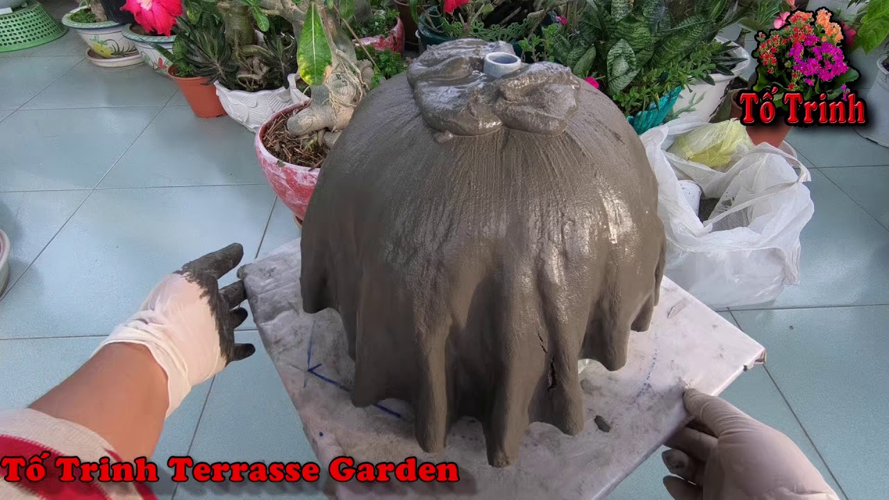 Làm Chậu Xi Măng Bằng Trái Bưởi  / Making cement pots with pomelos