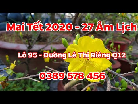 Mai Tết 2020 - Lô 95 Đường Lê Thị Riêng Q12- 0389 578 456