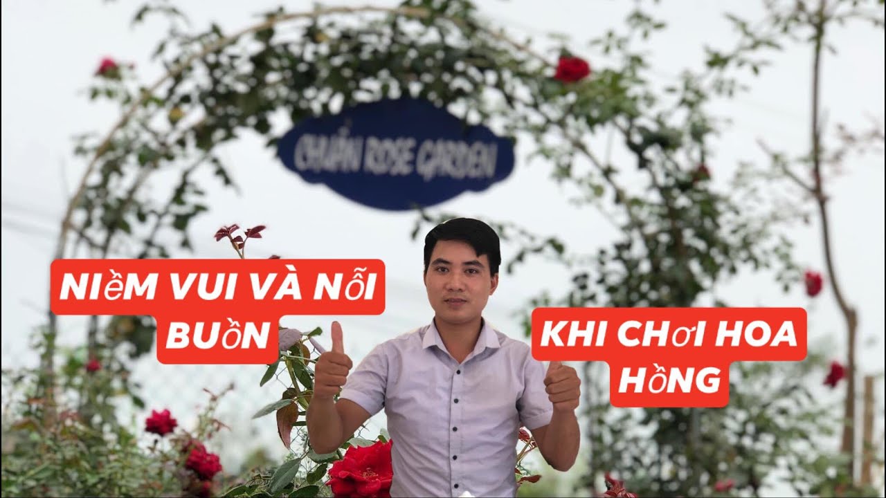 NIỀM VUI NỖI BUỒN KHI TRỒNG HOA HỒNG,VUI CHƠI CÓ THƯỞNG 2/9...chuẩn garden tv