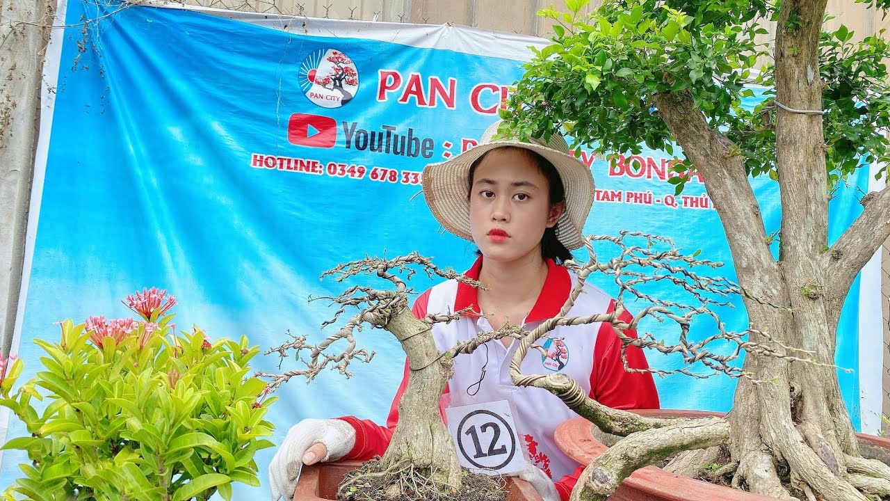 Pan City 109 | Toàn cây đẹp lựa ra báo giá cho anh em xem thưởng thức - 0349678335