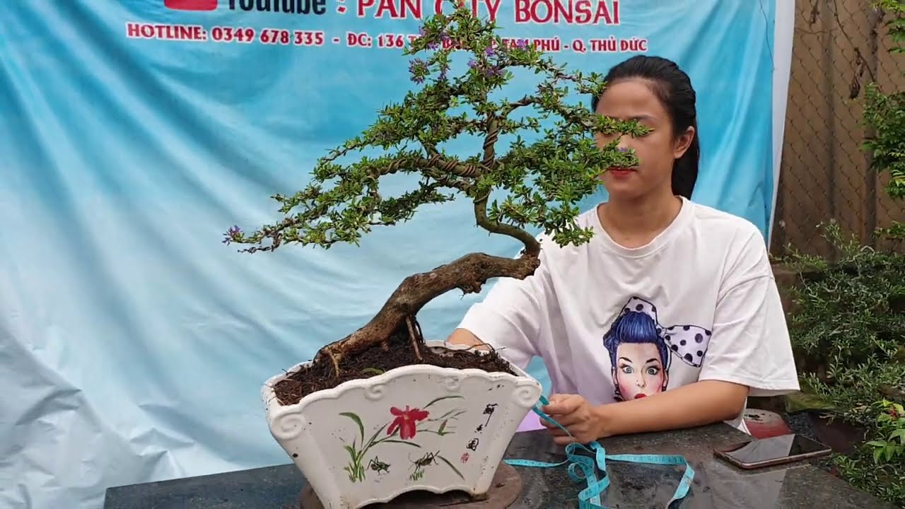 Pan City 97|  Tiếp tục một nồi lẩu Bonsai 20 combo giá bình dân anh em lựa chọn ngày 5 tháng 8