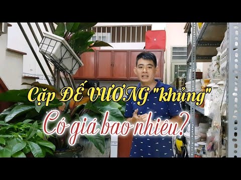 Ra mắt cặp đế vương "khủng" tại cửa hàng