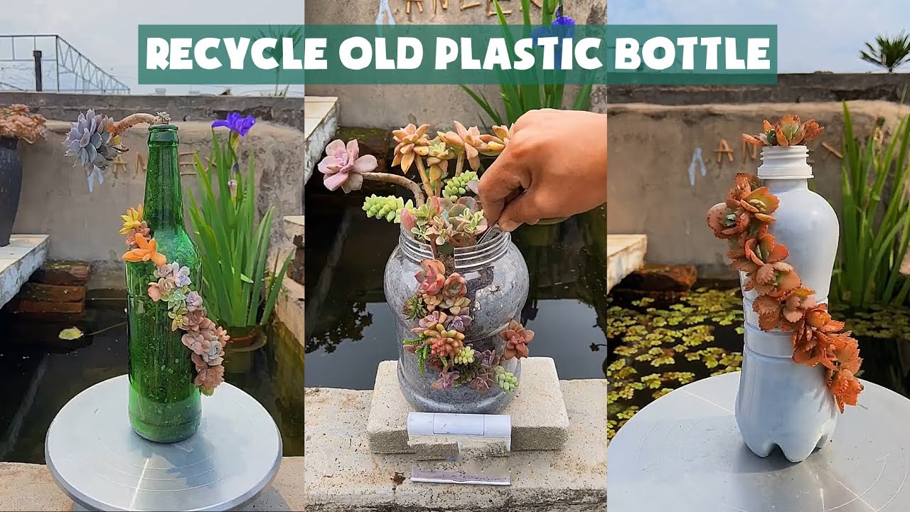 Recycle Old Plastic Bottle into Succulent Pot| Tái chế chai nhựa trồng sen đá| 다육이들 | Suculentas