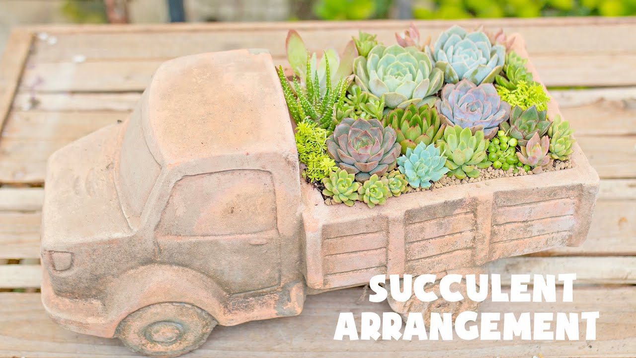 Succulent Arrangement Idea| Ý tưởng mix sen đá với chậu xe tải| 多肉植物| 다육이들 | Suculentas