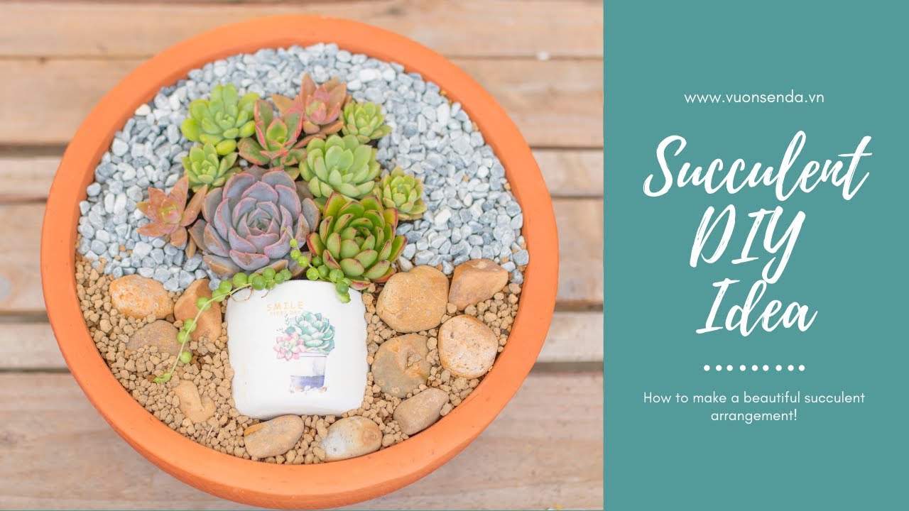 Succulent Arrangement Idea| Ý tưởng trồng một chậu sen đá thật đẹp| 多肉植物| 다육이들 | Suculentas