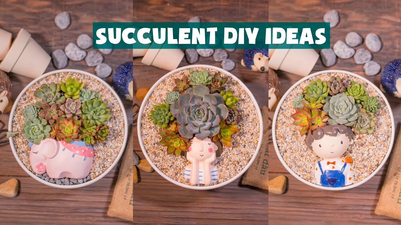 Succulent DIY Ideas| Ý tưởng trang trí sen đá tuyệt đẹp| 多肉植物| 다육이들 | Suculentas