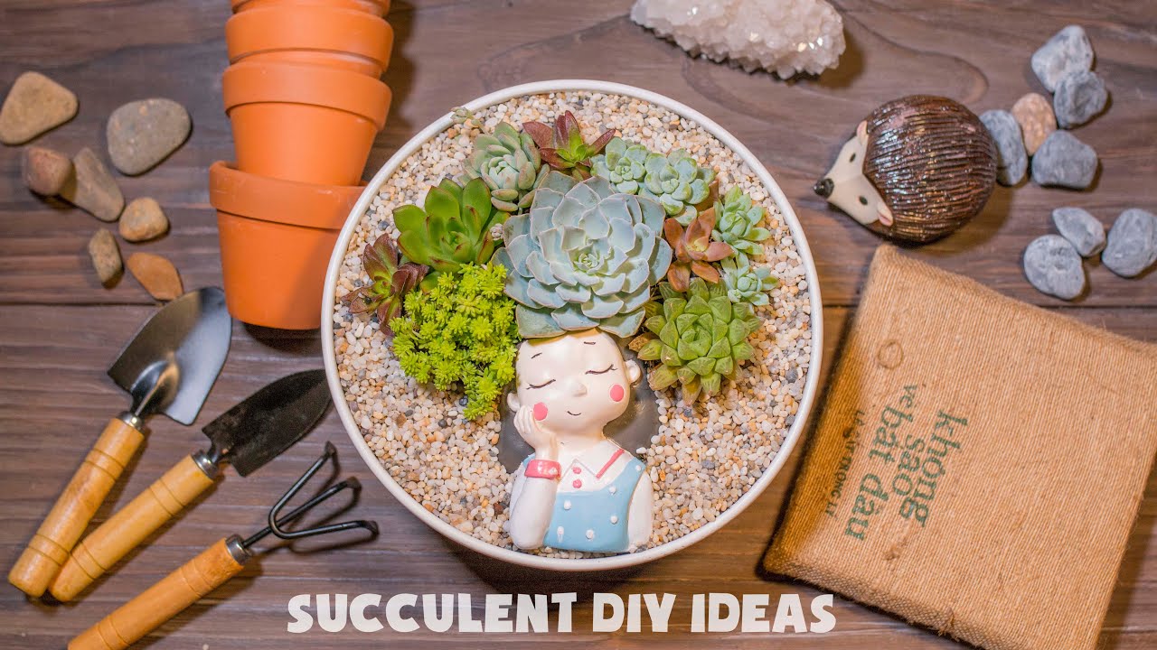 Succulent DIY Ideas for Dreamy girl| Ý tưởng trang trí sen đá tuyệt đẹp| 多肉植物| 다육이들 | Suculentas