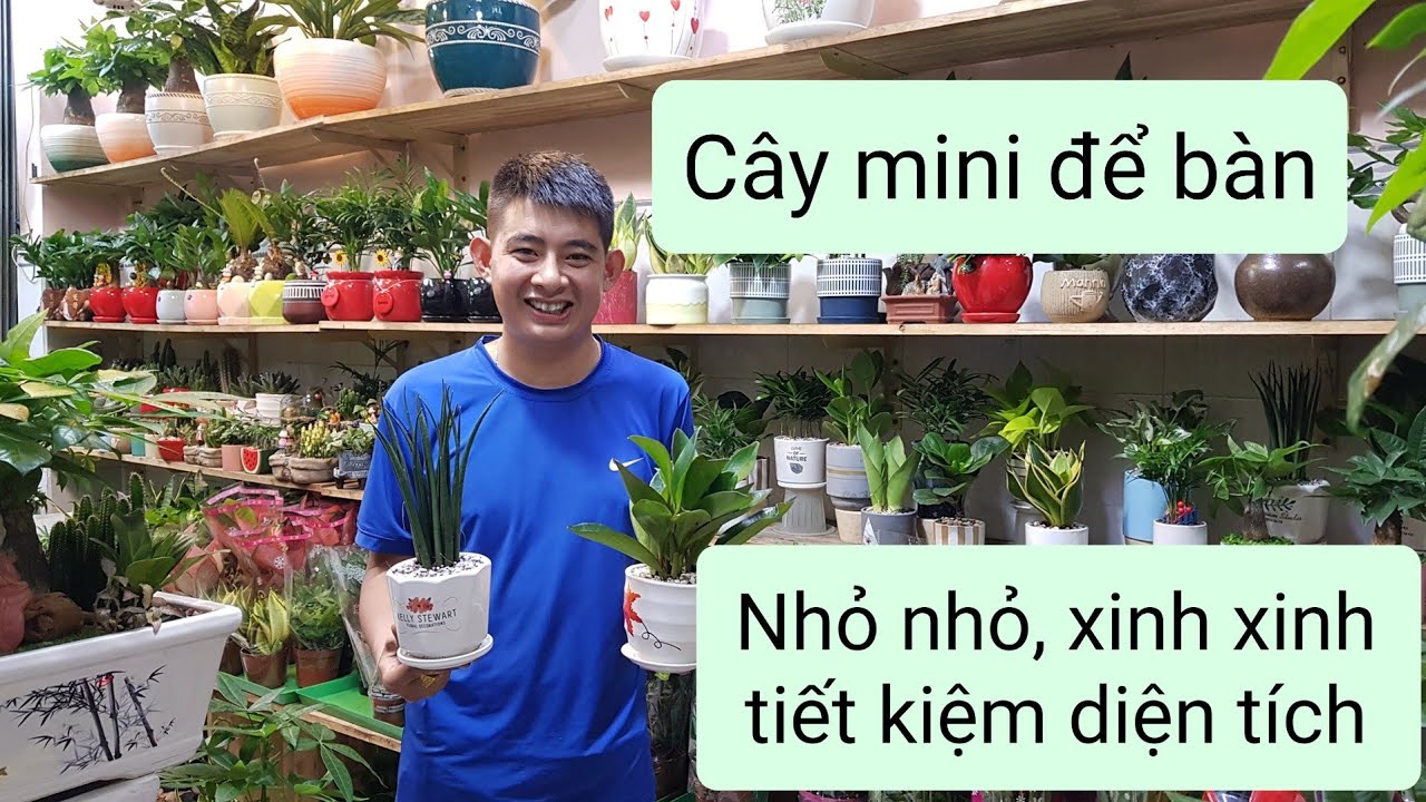 TỔNG HỢP CÁC MẪU CHẬU MINI ĐỂ BÀN