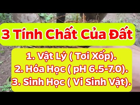 Tìm Hiểu Về Đất Giúp Cây Trồng  Phát Triển Bền Vững - Tháng 10 Năm 2020