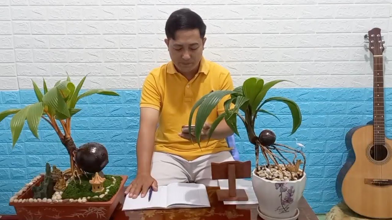 Trò Chuyện Và Hát Live Cùng Dừa Bonsai Channel