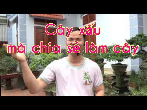 cây xấu mà chia sẻ làm cây - Lý do là đây