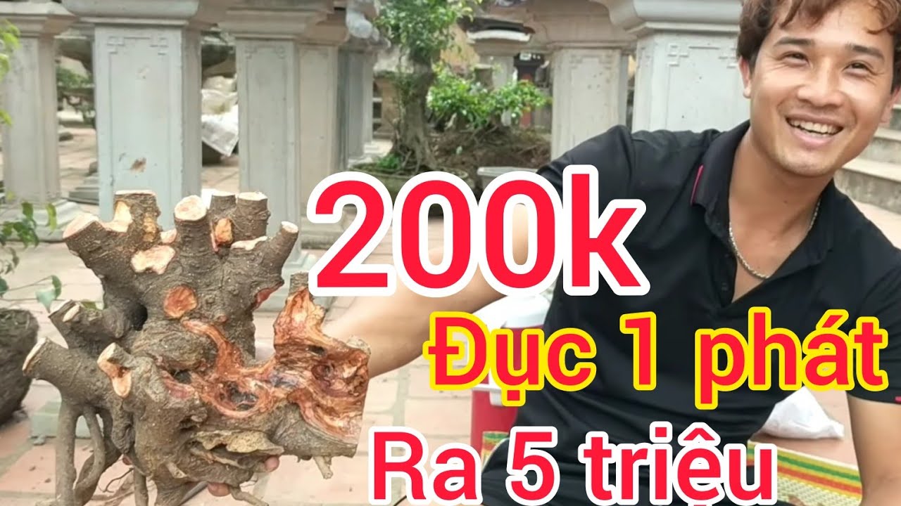 150 K CŨNG BẮT TAY ANH BẠN TRẺ NHẬP LÔ SI BÚP ĐỎ 350 TRIỆU VỀ CÓ RẤT NHIỀU HÀNG KHỦNG