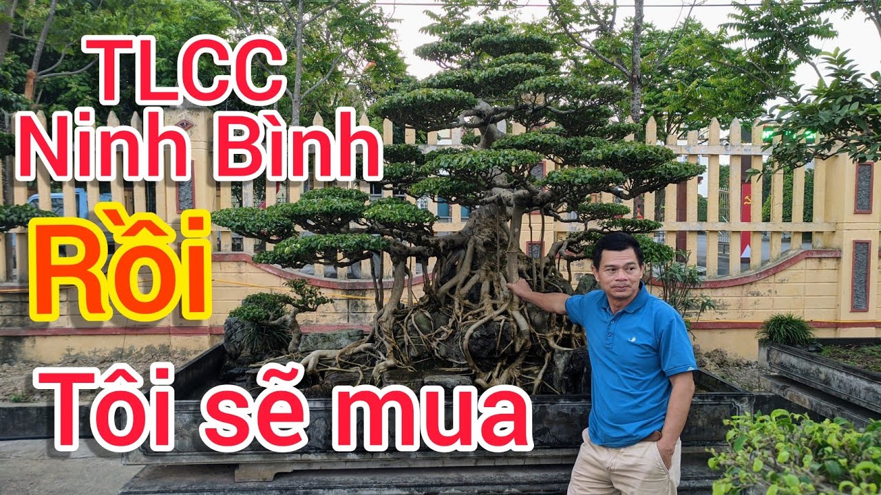 200 SIÊU PHẨM NGÀY ĐẦU NHẬN CÂY TẠI TLCC PHƯỜNG NINH KHÁNH NINH BÌNH TOÀN HÀNG KHỦNG