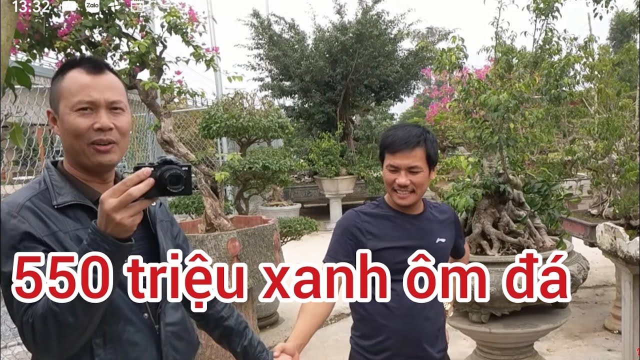 550 TRIỆU XANH ÔM ĐÁ CỦA VIDEO BONSAI VÀ RẤT NHIỀU TÁC PHẨM QUÝ MÀ ĐÔNG KIM SƠN MUỐN SỞ HỮU