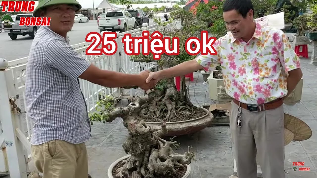 BÁO 30 TRIỆU TRẢ 25 TRIỆU OK SỬ TÔM ĐÃ GIAO DỊCH THÀNH CÔNG PHÔI QUÝ