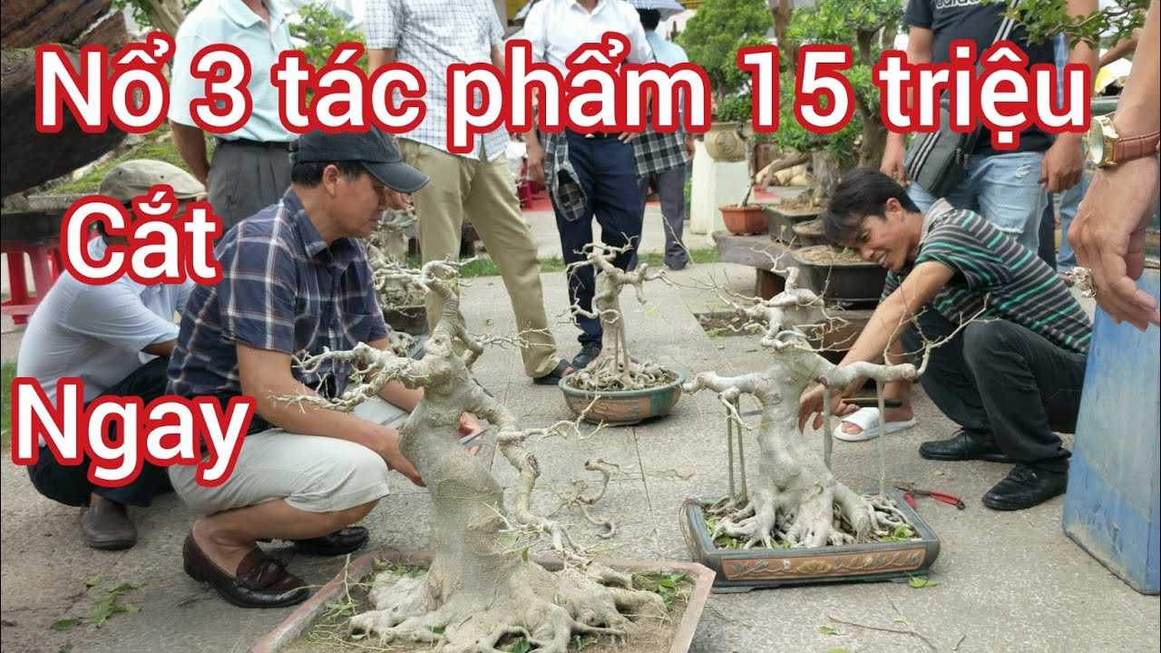 BẤT NGỜ GIAO DỊCH 3 TÁC PHẨM 15 TRIỆU BỆ MÓNG RỒNG RẺ KHÔNG TƯỞNG TAI Festival