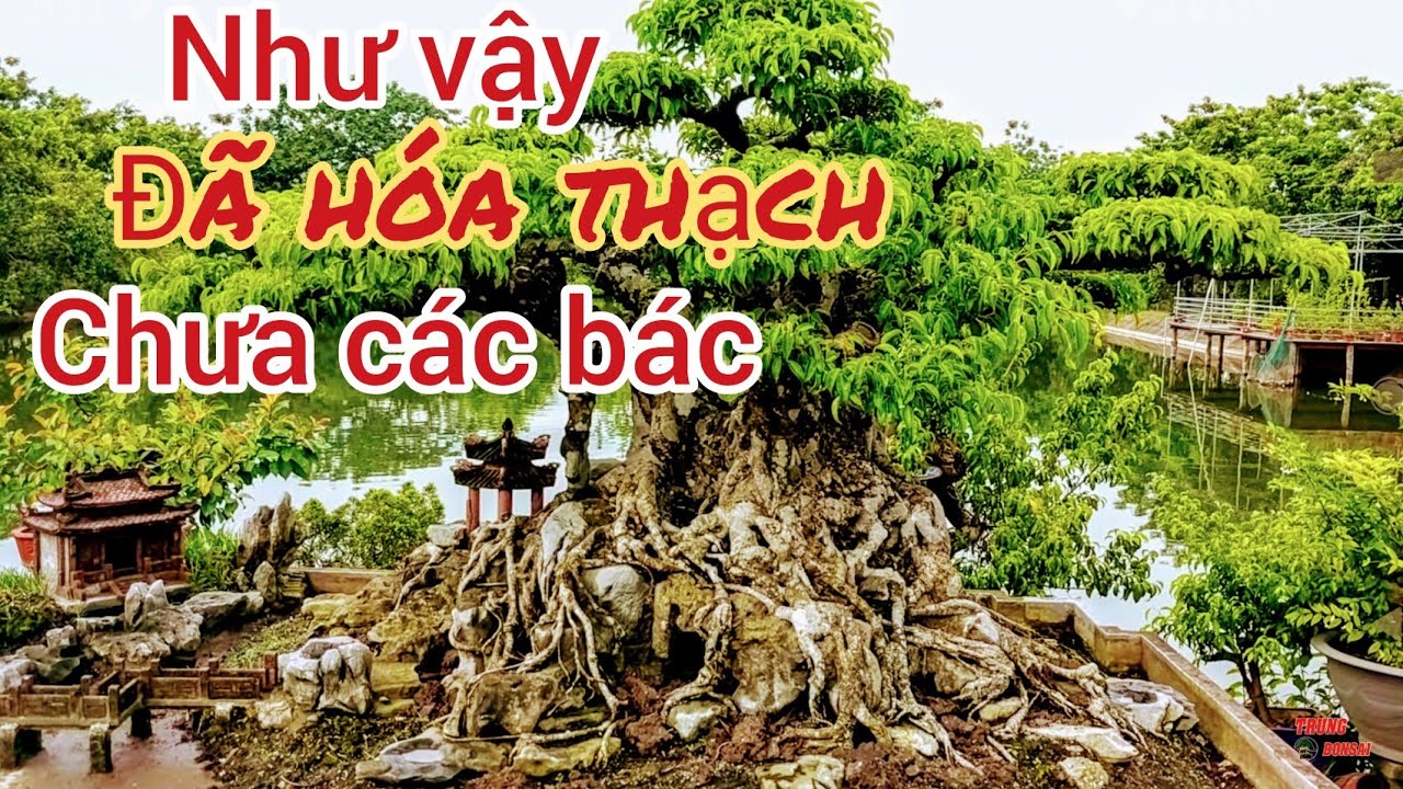 BỘ BA TAM ĐA 15 TỶ CỦA ANH KHOA BI CHƯA MỘT LẦN TRÌNH LÀNG CÁC BÁC XEM ĐỘ GIÀ NHÉ