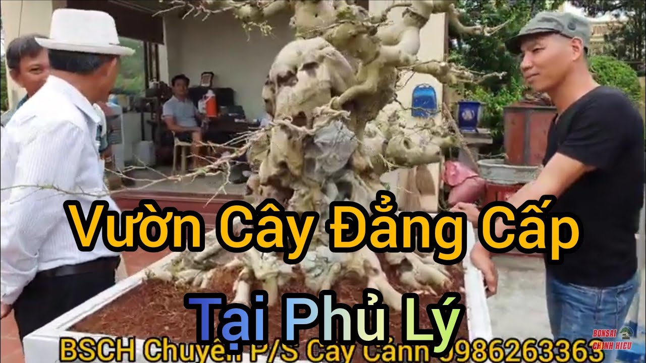 (BSCH 690) Báo giá nhiều phôi khủng tại nhà anh Huy Phủ Lý - Hà Nam.